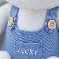 Ensemble de jouets en peluche ours super doux personnalisés en gros avec lunettes de soleil et salopette, animaux en peluche brodés pour cadeau d'enfants et soulagement du stress