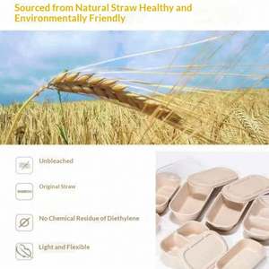 Biodegradable Eco Friendly Food Packaging <b>Container</b> Compostable Salad <b>Box</b> with Lid for Cafe Restaurant Takeaway Delivery Use - Product Image 2