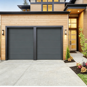 <span class=keywords><strong>Porte</strong></span> <span class=keywords><strong>de</strong></span> <span class=keywords><strong>garage</strong></span> résistante au gel évite les blocages <span class=keywords><strong>de</strong></span> <span class=keywords><strong>porte</strong></span> en hiver - Product Image 2