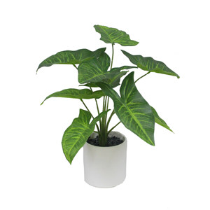 MINI plantes de TABLE pour la décoration, nouveau STYLE - Product Image 1