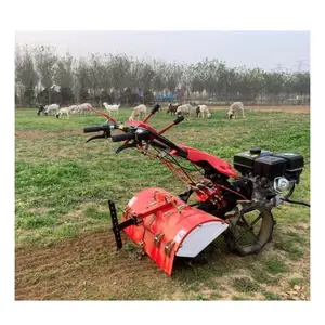 Agrarische Mini Helmstok Rotavator Cultivator Kleine Landbouwmachines