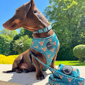 Set <span class=keywords><strong>Harness</strong></span> Anjing Neoprene Tanpa Tarik Desain Baru 2026 Grosir Mewah dengan Logo Kustom dan Pola Cetak untuk Anjing - Product Image 2