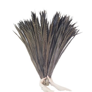 Groothandel 20-60Cm Natuurlijke Fazant Staartveren Grappige Kat Stick Diy Hoofdtooi Accessoires Geverfde Veren - Product Image 5