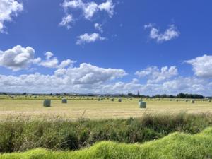 Film plastique souple en PP pour l'emballage de balles de foin, 500 mm, impression UV, qualité machine, film protecteur injecté - Product Image 6