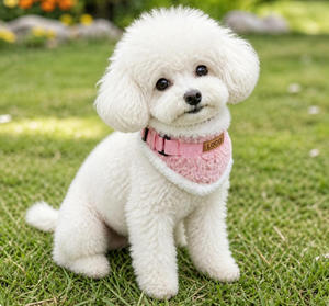 Collier en peluche pour chien, collier chaud en polaire pour l'hiver, réglable, anti-froid, pour petites et moyennes races - Product Image 2