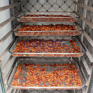 Séchoir à tranches d'aubépine à température réglable, Chambre de séchage d'aubépine, Ligne de production de découpe et de séchage d'aubépine - Product Image 2