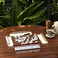 Kit de jeu de Mahjong américain portable, jeu de Mahjong de voyage en acrylique triple couche imitation écaille de tortue avec 160 tuiles pour une utilisation en intérieur et en extérieur
