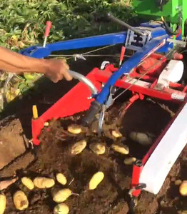 Mini <span class=keywords><strong>Cosechadora</strong></span> de Patatas Multifuncional <span class=keywords><strong>para</strong></span> Tractor de Paseo con Componente Central de Motor - Product Image 5