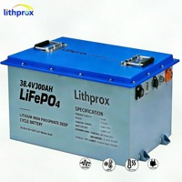 Batería de Motor Eléctrico para Montacargas LFP de Grado A, 38.4V 300Ah, Amplio Rango de Temperatura, Segura y Estable para Montacargas de Cuatro Ruedas, CE UN38.3