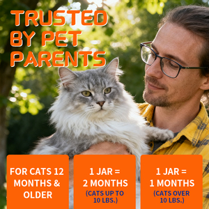 犬のリジンソフトチューサプリメント、高純度リジンビタミンC、呼吸健康 & 子犬犬小屋咳止め - Product Image 6