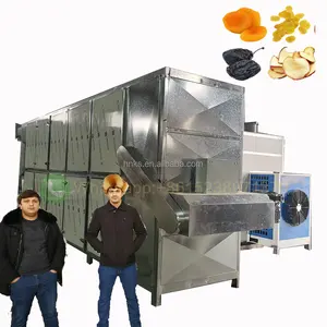 High Quality Dehydrator Machine Fruit Conveyor Hot Air Sea Fish Drying Machine Vegetable For Mesh Belt Dryer