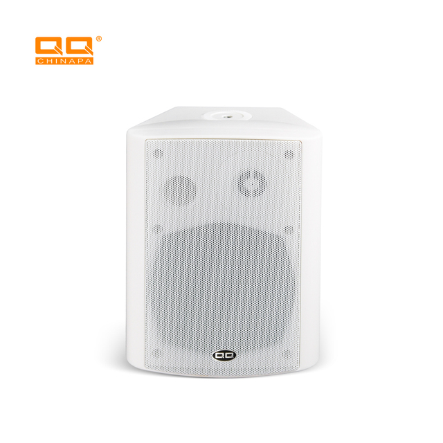 QQCHINAPA APP Controls Professional Audio Wifi Wireless Stereo Sound Wall Speaker
