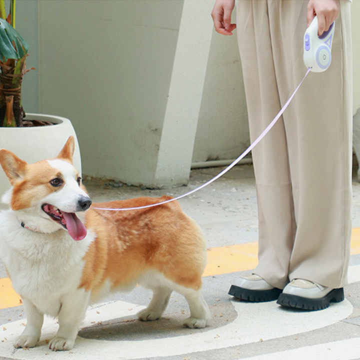 High Quality Luxury Automatic Retractable Nylon Dog Leash LED Light HighVisibility Rope Custom