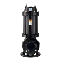 Pompe submersible pour eaux usées série WQ, débit de 2 pouces, 3 CV, pour drainage des eaux usées