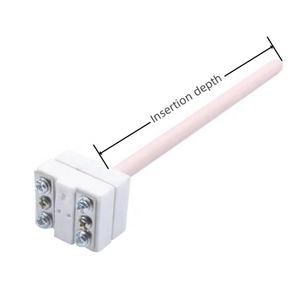 หัววัดอุณหภูมิเซรามิก PtRh30-Pt6เทอร์โมคัปเปิลประเภท PtRh10-<span class=keywords><strong>Pt</strong></span> <span class=keywords><strong>PtRh13</strong></span>-<span class=keywords><strong>Pt</strong></span> สำหรับเตาเผา - Product Image 5