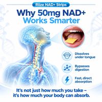 Bandes de dissolution rapide OEM Nad+ Max pour le soutien de l'énergie cellulaire et de la vitalité au chitosane, bandes orales dissolvables Nad+ 50 mg