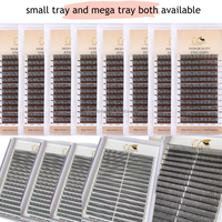 Extensions de cils synthétiques Angel Lashes Wet Set 5D préfabriquées, effet anime, pointues et vaporeuses, 0.07mm C CC D DD, marque privée, sans cruauté animale