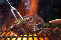 Termometer Dapur Digital Akurat untuk Daging BBQ SYH1184 dengan Probe Pop-up Tahan Air dari Plastik untuk Penggunaan Rumah Tangga
