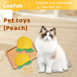 Jouet pour chat en forme de gourde éponge, style dessin animé pêche, pour le nettoyage des dents, l'entraînement et le plaisir autonome apaisant, fournitures naturelles pour animaux de compagnie - Product Image 1