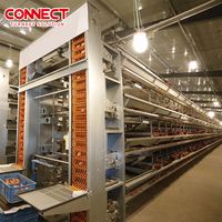 Équipement de volaille de type entièrement H 50000 Cages de batterie de pondeuse de poulet Ensemble d'équipement de ferme de poules d'œufs Système de cage de poulet de pondeuse