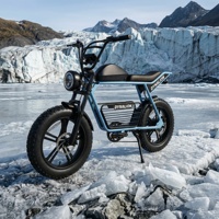 Vélo électrique tout-terrain résistant aux crevaisons avec batterie au lithium 16Ah, vélo électrique robuste pour l'exploration hivernale sur la neige