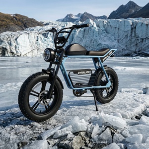 Vélo électrique tout-terrain résistant aux crevaisons avec batterie au lithium 16Ah, vélo électrique robuste pour l'exploration hivernale sur la neige - Product Image 5