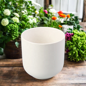 Vaso in Ceramica Bianca Opaca Moderno per Decorazione Giardino, Mini Vasi per <span class=keywords><strong>Piante</strong></span> Succulente e <span class=keywords><strong>Cactus</strong></span>, Decorazione Casa, Vaso per Fiori - Product Image 2