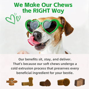 कुत्तों के कूल्हे और संयुक्त स्वास्थ्य टैबलेट के साथ कुत्ते के कूल्हे और संयुक्त स्वास्थ्य टैबलेट - Product Image 2