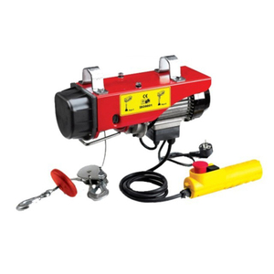 <span class=keywords><strong>Polipasto</strong></span> Eléctrico Mini de 1000 kg con Carro, Económico y de Alta Calidad - Product Image 2
