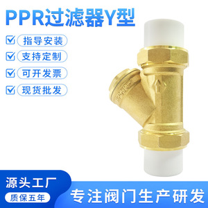 Vanne filtrante de type Y SENFM en PPR, filtre à eau chaude pour système de plomberie - Product Image 5