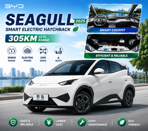 BYD Seagull 2025, Vehículo Eléctrico Dinámico, 305 km de Autonomía, 2WD, 500 Nm+, Conducción Inteligente, Auto Compacto de Nueva Energía, Batería de 110 kWh - Product Image 1
