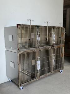 Solusi Kandang Hewan Peliharaan Modern dan Higienis, Kandang Anjing Stainless Steel dengan Roda 304, Kandang Anjing Logam Motif Hewan Modern - Product Image 2