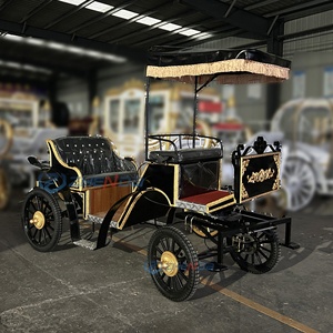 Carruaje Eléctrico Negro de Turismo con Detalles en Dorado y Toldo para Transporte de Turistas - Product Image 5