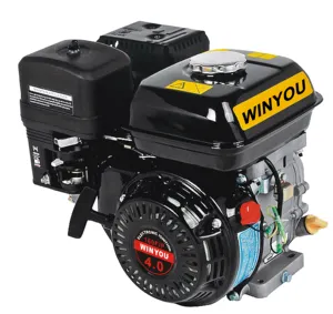 4HP Ohv 4 Stroke for MODEL 160F Gasoline Engine