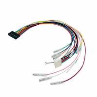 Arnés de cables personalizado de fábrica 2x10 2x6 Pin 2,54mm Conector de paso Puente de altavoz de coche Cable de montaje de arnés de cableado