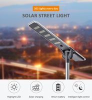 Poste de Luz Solar para Calle de 9 Metros, 3 en 1, 30W 60W 80W 100W 120W, con Cámara de Seguridad
