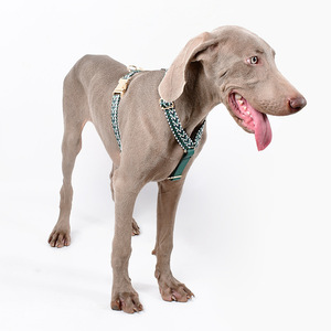 Imbracatura per Animali Domestici in Nylon alla Moda con Guinzaglio, Design Originale con Anello Imbottito per il Collo, Stile Solido - Product Image 1