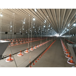 Moderna Struttura Prefabbricata in Acciaio Zincato per Allevamento Avicolo, Capacità 20.000 Polli - Product Image 2