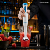 Mixeur Plongeant Professionnel de Haute Qualité pour Usine, Vente en Gros, Durable, Efficace, Haute Vitesse, pour Voiture, Restaurant, Cuisine Domestique