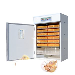 Incubateur d'Œufs Haute Capacité, Vente Chaude 2022, Fourniture Directe d'Usine - Product Image 1