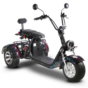 Carretera legal EEC COC 3 ruedas motocicleta eléctrica 2000W motor scooter 2 asientos triciclo para adulto