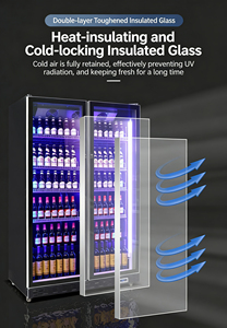 Réfrigérateur Commercial à Boissons, Deux Portes Vitrées, Vitrine Réfrigérée pour Bars et Cantines, Refroidissement par Ventilateur, Congélateur Vertical <span class=keywords><strong>Multi</strong></span>-Niveaux - Product Image 6