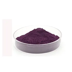 Factory Supply Organic Anthocyanin powder 25% black rice extract