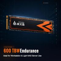 SSD Internal KANAGA M.2 2280 NVMe PCIe 4.0 Memori Flash 3D NAND dengan Daya Tahan 600TBW untuk Workstation, NAS & Aplikasi Server Ringan