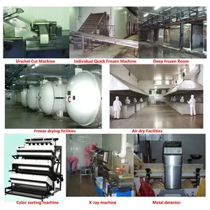 Chất Lượng Cao Tất Cả Các Màu Xanh Lá Cây Không Khí Khô Mùa Xuân Hành 5Mm Ống Trung Quốc Cây Trồng Mới Số Lượng Lớn Cắt Nhỏ Hương Vị Lá Cho Mì Ăn Liền - Product Image 4
