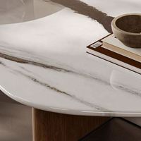Table basse minimaliste en pierre microcristalline, style luxe léger, plateau en forme de roche, pieds en acier inoxydable, pour salon