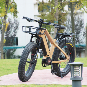 <span class=keywords><strong>Rohloff</strong></span> – <span class=keywords><strong>moyeu</strong></span> à 14 vitesses, 48v, 1000w, entraînement par <span class=keywords><strong>courroie</strong></span>, vélo électrique à deux batteries - Product Image 5