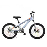 Vélo de montagne Offre Spéciale Chine gros 24 pouces soutien OEM vélo de montagne vélo VTT à vitesse unique