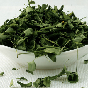 Feuilles de Moringa Oleifera séchées naturellement, sans soufre, super-aliment, matière première pour les thés bien-être, compléments alimentaires et additifs alimentaires - Product Image 3
