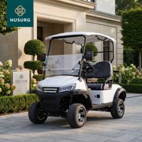 Voiturette de golf tout-terrain deux places, 4 roues, frein hydraulique, homologuée pour la route, buggy électrique avec éclairage LED, couleur personnalisée disponible